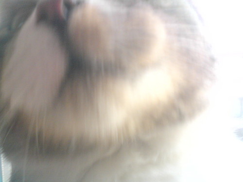 Ciooo tooo ? : d