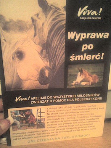 Wpis paapryczkaaa