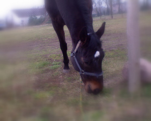 Spacer...:::