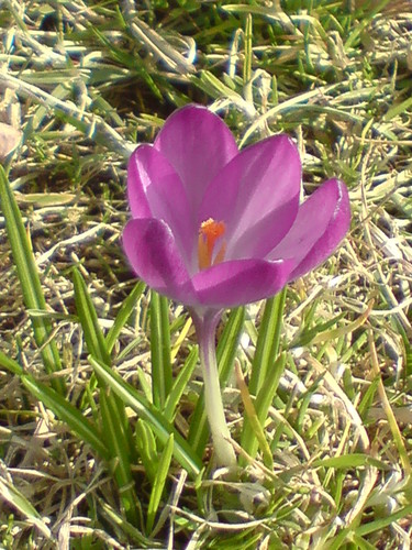 Wiosna O.o ;)