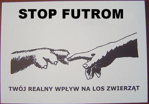 STOP