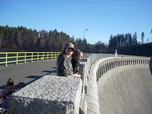 Wpis kanguska