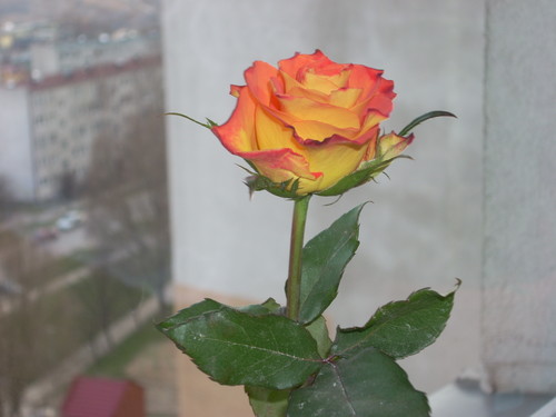 Wpis szwagierkaa92