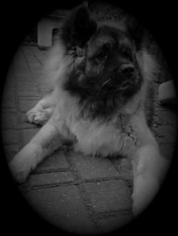 A to moja Kerii:)