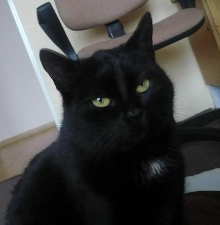 MiTkA