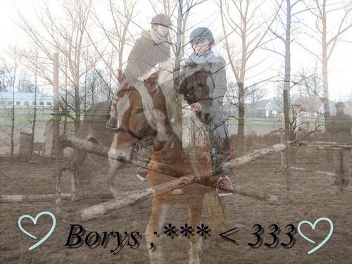 Wpis caballo15