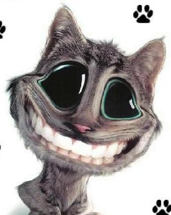 ;)