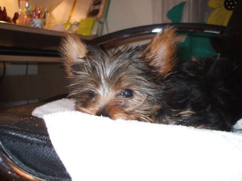 Sisi :-)