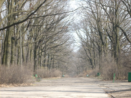 Parki - (4)