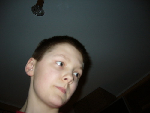 Wpis kot20005