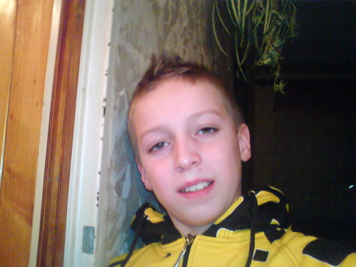 BOBUS