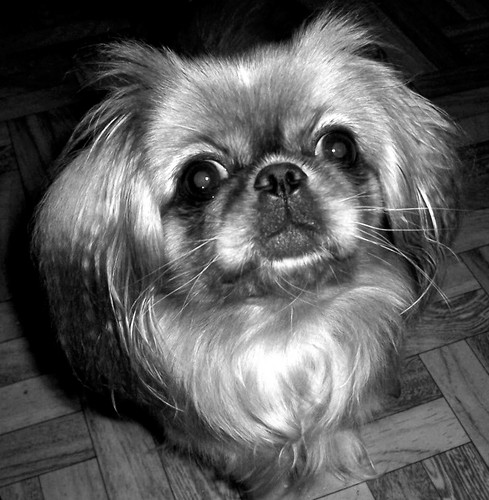 Lady...< 3