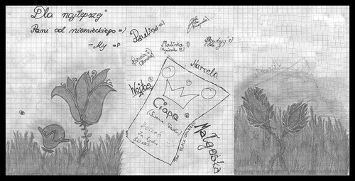 Wpis szopi