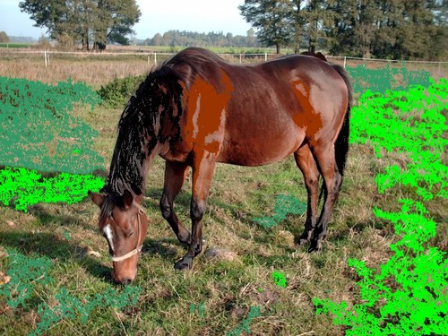 Konik przerobiony