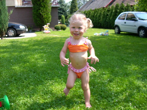 Dominisia:*:*