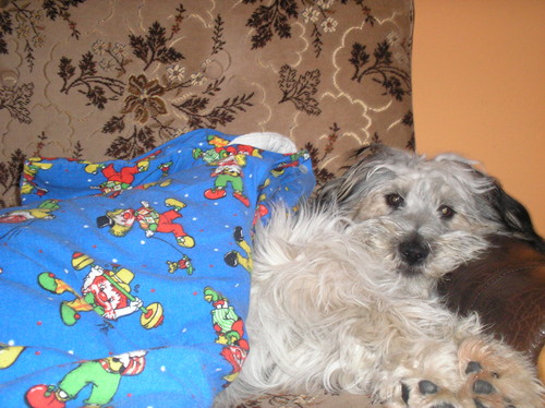 pioch :)