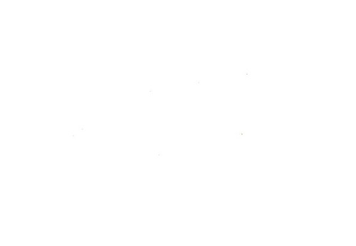 Wpis brunetkii2