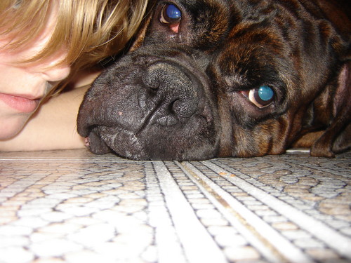 Bater ... 