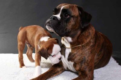 mother and son 