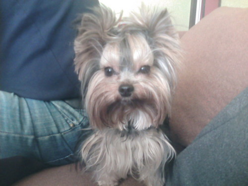 HArry!!!!!!