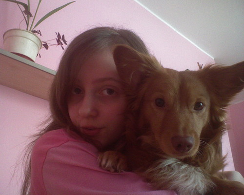 Jaa i Goldi