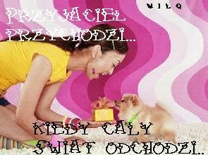Wpis evrybodyfrytki