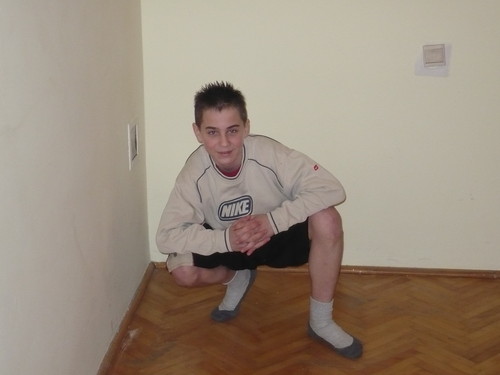 Wpis pitbul104