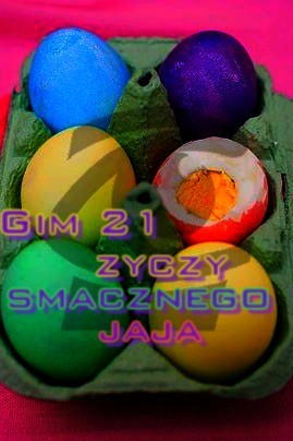 Wpis gim21torun