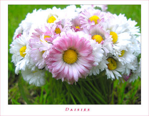 `WiOsNA..!