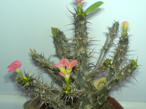 Natura!!!!!