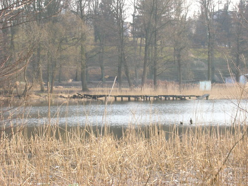 Wpis magdig