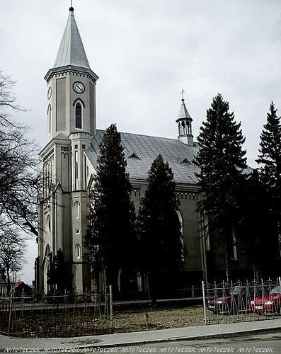 Koci w Zarszynie