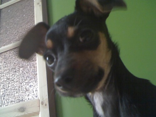 MYchA:)