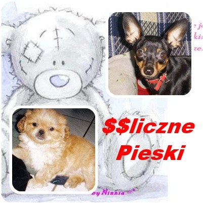 Wpis misiaczki24
