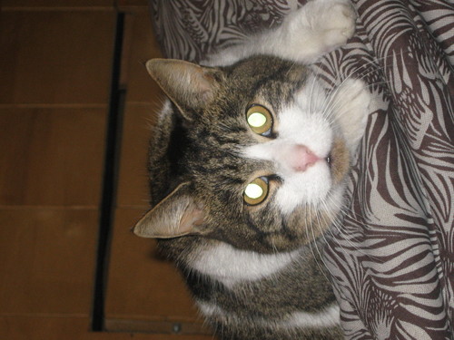 Kika