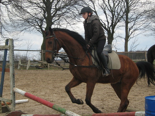 Wpis caballo15