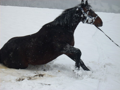 Afrusia^^