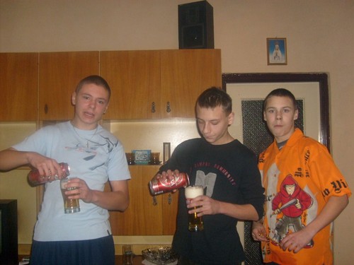 B I B A 2 0 0 8