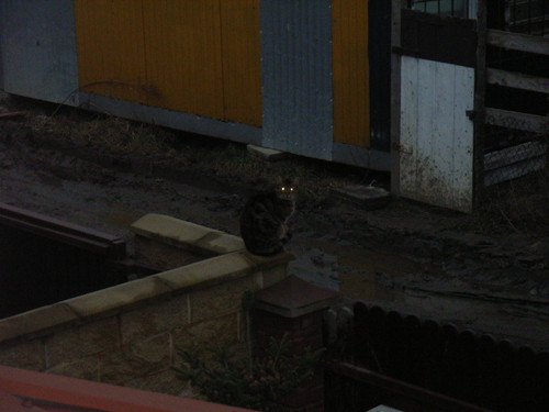 ^^ Cleopatra