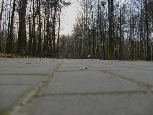 Wpis ponadkraweznikami