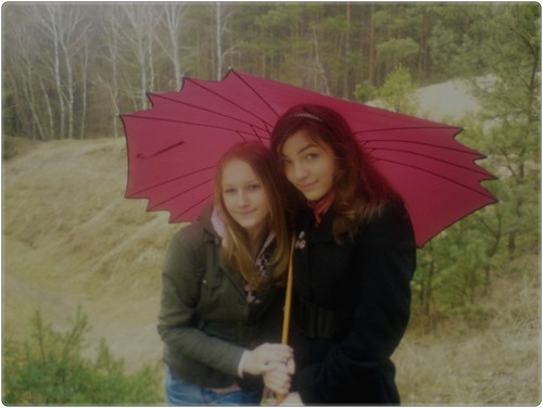 Wpis ssylkaa