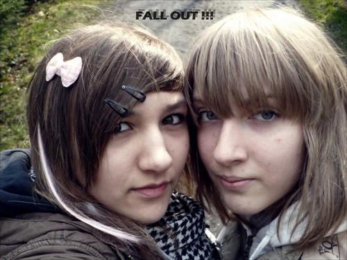 Wpis fallout02