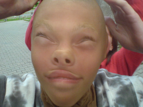 lipane