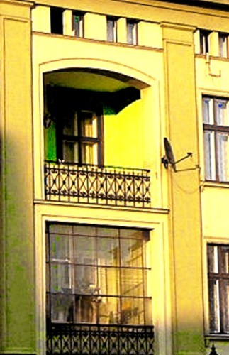 w zieleni