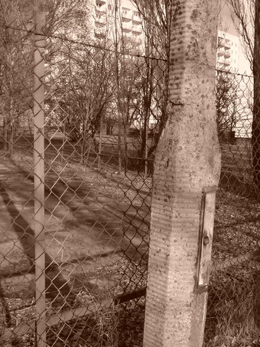 Miejsko-niemiejsko