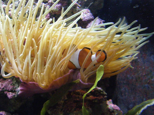 wypad do ZOO 29.03.2008