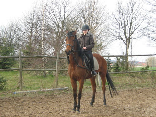 Wpis caballo15
