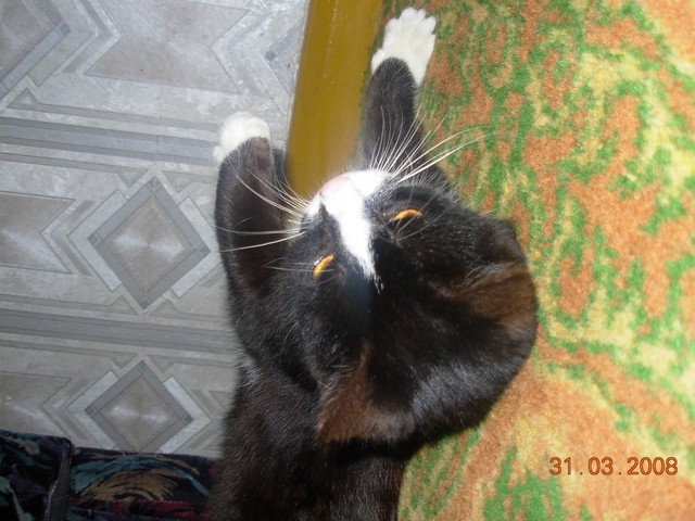 Pumka...