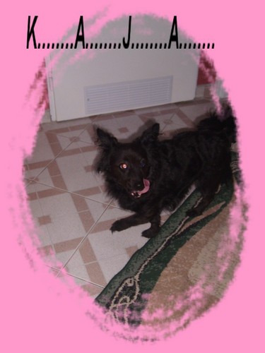FFAAJJNNYY NNOO  NNIIEE