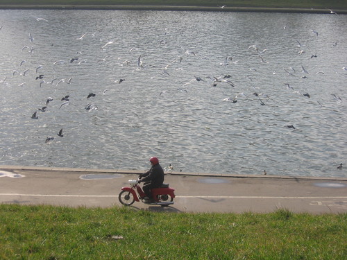 motor ;o